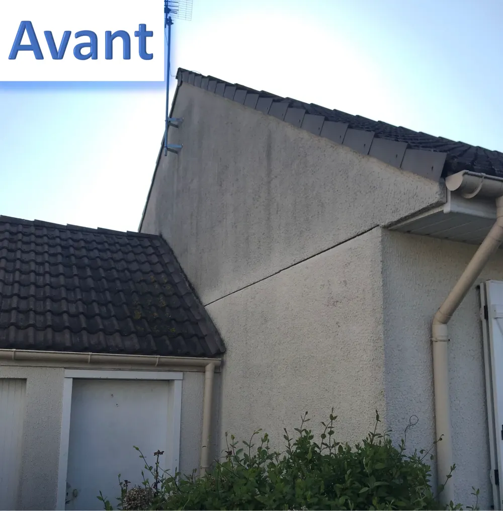 Avant travaux : façade d'origine